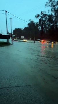 Cemitério de carros . Dezenas de carros submersos em Fernão Ferro