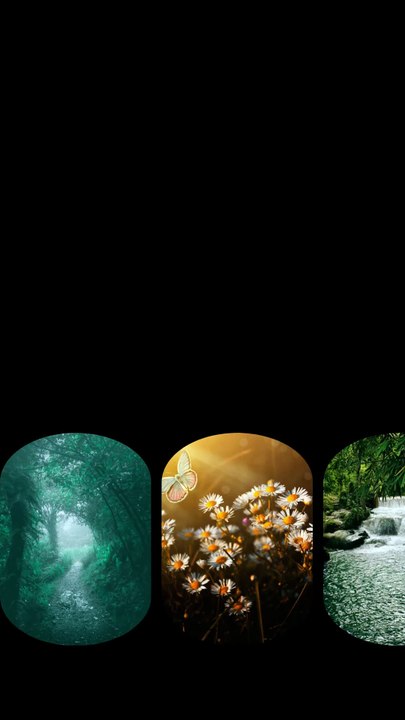 Copyright Free Images for Free