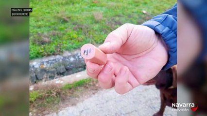 Indignación en Pamplona entre los dueños de perros