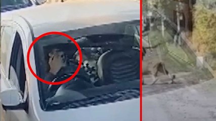 Delhi में एंट्री करते हुए आतंकी उमर का नया Video