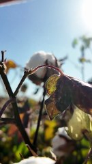 Şanlıurfa'da Jandarma Ekipleri KADES Hakkında Bilgilendirme Yaptı