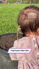 Toddler Takes Accidental Frog Passenger on the Funniest Garden Stroll|| Heartsome 💖