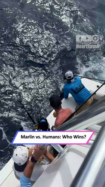 Epic Marlin Battle Caught on Camera—Crew Fights Hard for the Big Catch|| Heartsome 💖