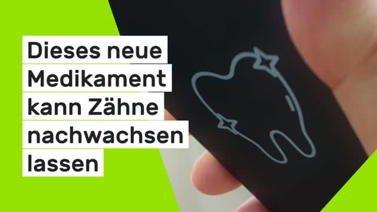 Bald für Kinder erhältlich: Dieses neue Medikament kann Zähne nachwachsen lassen