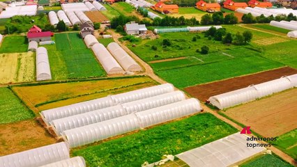 Imprese, Syngenta compie 25 anni tra sostenibilità e innovazione