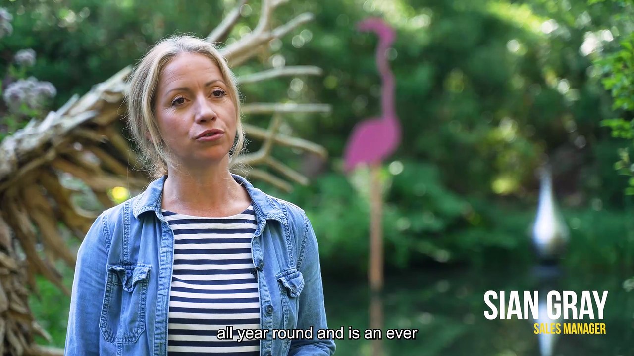 Just ten acres of woodland, but more than 800 sculptures. Discover the hidden gem of Churt, The Sculpture Park, where creativity and nature walk hand in hand