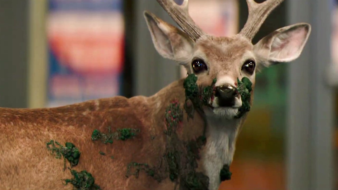 Cold Storage Trailer (2) DF