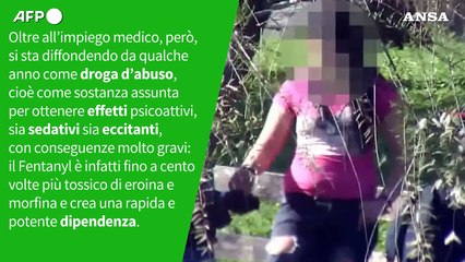 Fentanyl, oltre la paura: cosa succede davvero nel nostro Paese