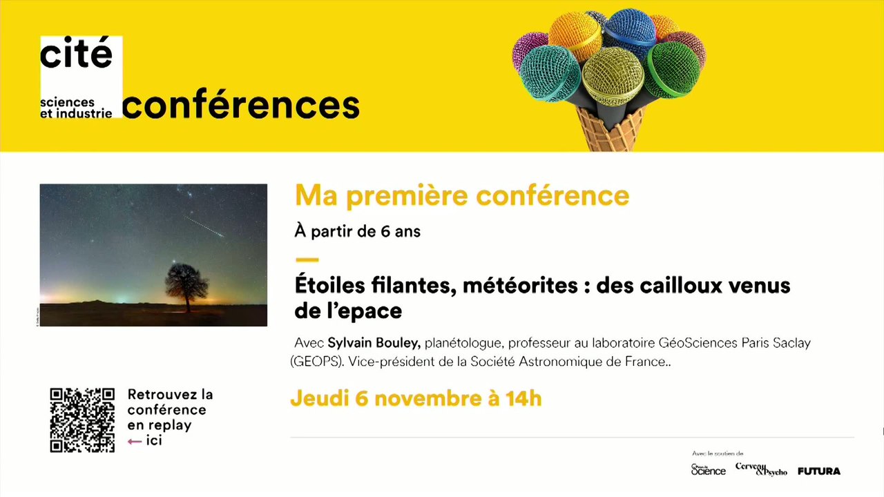 Étoiles filantes, météorites : des cailloux venus de l’espace