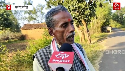 मध्य प्रदेश में लंपी वायरस का अटैक, मवेशियों के लिए कितना खतरनाक है ये वायरस