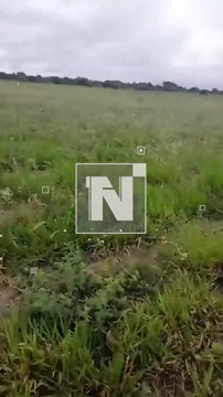 ENCUENTRAN UN CUERPO SIN VIDA EN UN LOTE BALDÍO DE LA ZONA OESTE DE SANTA CRUZ
