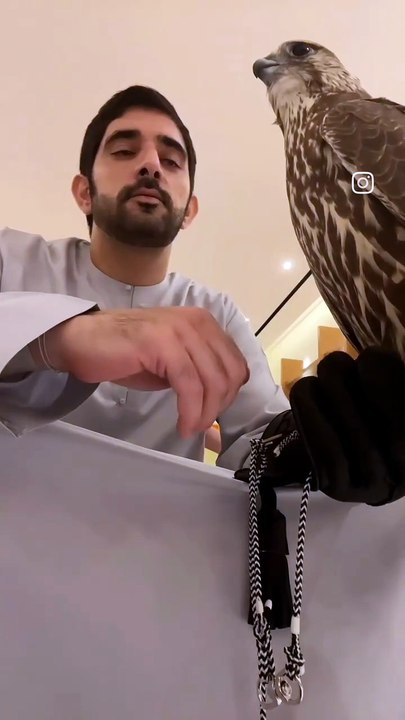 VID_20251017_193142_060