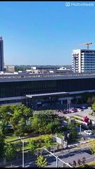 Scars Whisper Unspoken Vows dailymotion