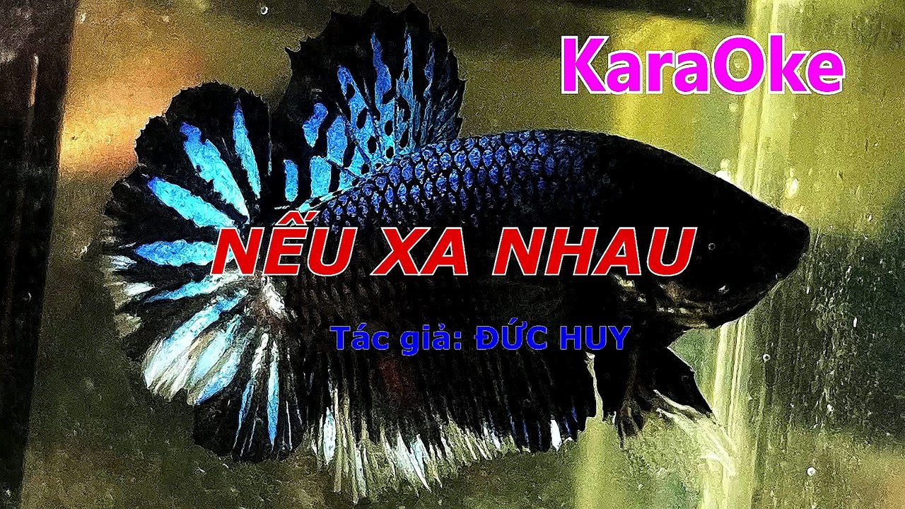 Mux251103215112