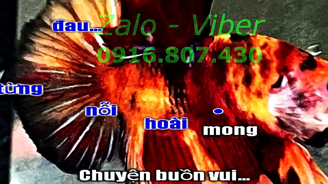 Mux251110203939