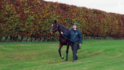 Suelita, Dam of Chaldean, One to Watch at Sceptre Sessions