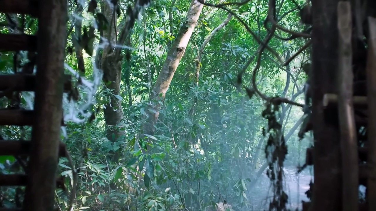 🕷Colossal spider swarm attacks people, survivors trapped in spider web hell, Screaming!😱#movie #film