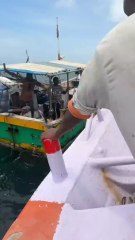 Deep Sea Legends — The Gulf’s Untamed Fishing Adventure