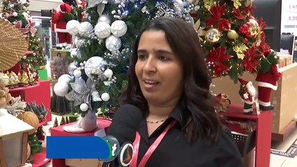 Tendências de Decoração Natalina para 2025: Entrevista com a Decoradora Roberta Freitas