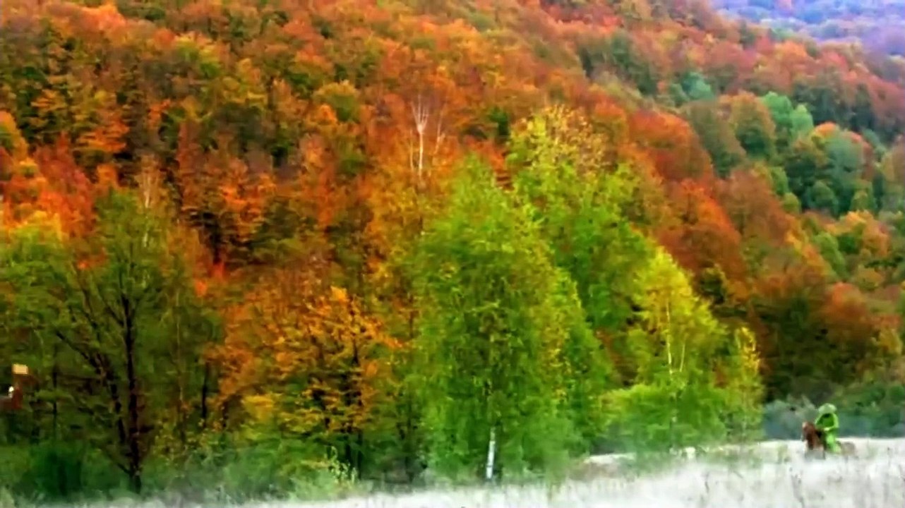 House of Flying Daggers zeigt schon im Trailer, was man im Wuxia-Klassiker erwarten kann