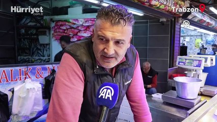 Hamsi bolluğu Trabzon'daki balıkçı tezgahlarında fiyatlara yansıdı