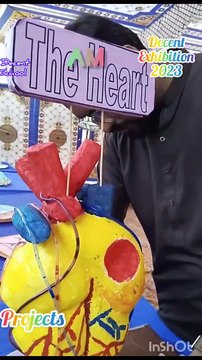 educational exhibition 2023 at decent school Charan memon dphs school 🎒🏫🎒