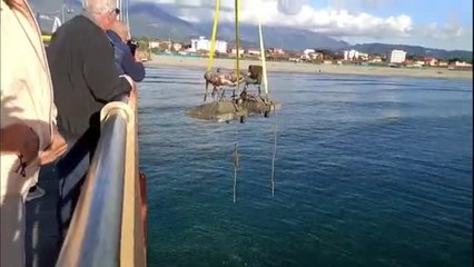 Marina di Pietrasanta, le copie dei Bronzi di Riace salutano il pontile (dopo tre anni)