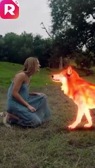 True Luna (2023) Official Trailer #reelshort #drama #werewolf #alpha #luna