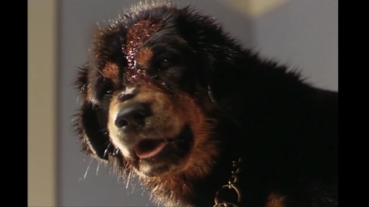 Der Tod kommt auf vier Pfoten (1993) #GanzerFilm #Deutsch #HD