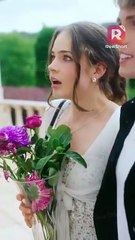 A Hamptons Summer Affair with My BFF's Brother 1-12 | ReelShort