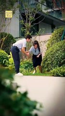 Si pudiera volver en el tiempo en Español