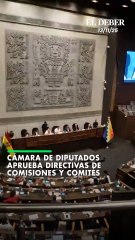 Cámara de Diputados aprueba directivas de comisiones y comités