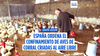 España ordena el confinamiento total de las aves de corral criadas al aire libre por la gripe aviar