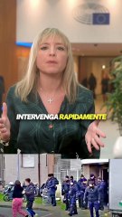 Sardone - Basta con i delinquenti che occupano le case (13.11.25)