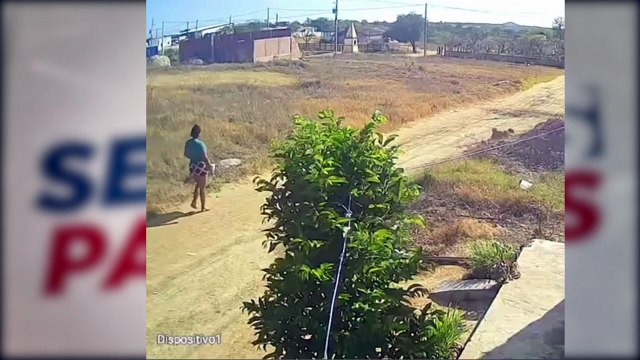 Detalhes Chocantes do Caso Júlia: Confissão, Investigation e Consequências – O Retrato do Feminicídio em Belo Jardim