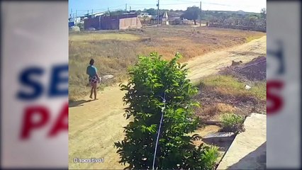 Detalhes Chocantes do Caso Júlia: Confissão, Investigation e Consequências – O Retrato do Feminicídio em Belo Jardim