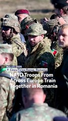 NATO Troops From Across Europe Train Together in Romania