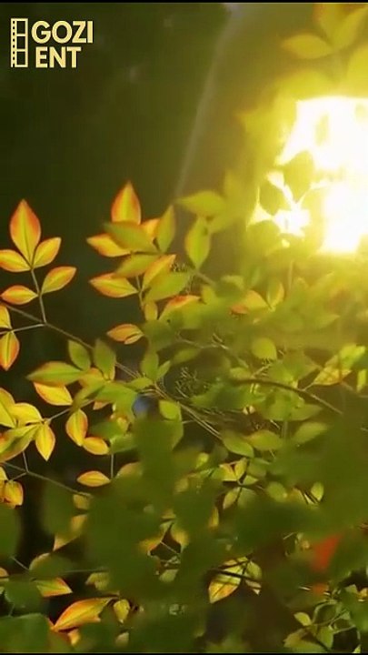 Keep The Ring I'll Take My Crown & Detailed Version - Full Movie