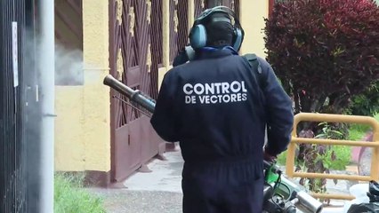 tn7-lugares-del-pais-que-reportan-brotes-activos-de-dengue-131125