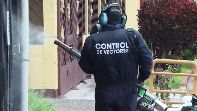 tn7-lugares-del-pais-que-reportan-brotes-activos-de-dengue-131125