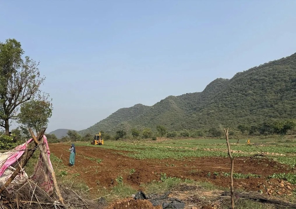 आठ बीघा वन भूमि को कराया अतिक्रमण मुक्त