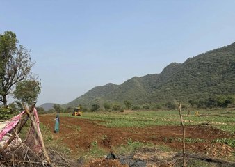 आठ बीघा वन भूमि को कराया अतिक्रमण मुक्त