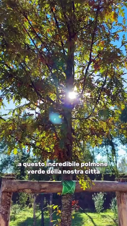 Gualtieri - Lo avevamo promesso, lo abbiamo fatto! (13.11.25)