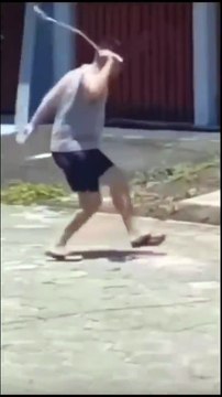 Toujours se méfier des lézards