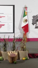 La presidenta Claudia Sheinbaum afirmó que la convocatoria de la marcha del 15 de noviembre es impulsada artificialmente