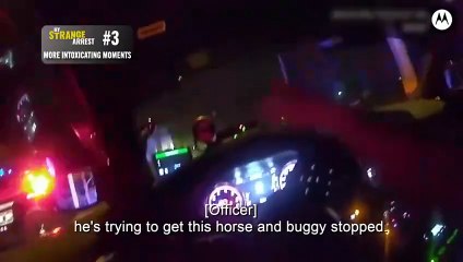 My Strange Arrest S03E101 (special) Top 5: More Intoxicating Moments