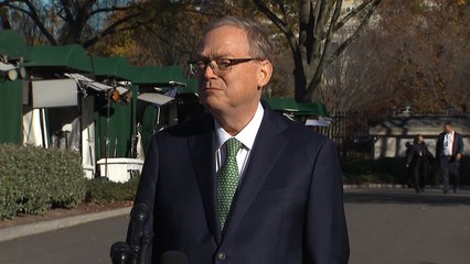 백악관 "국민들에 2천불 배당금 줄 관세수입 충분...입법필요" / YTN