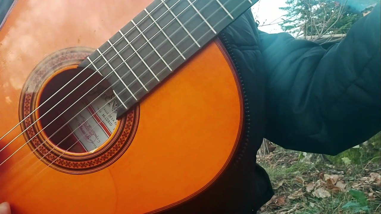 Tuto guitare - a mi manéra ( comme d'habitude ) - pouce + accords