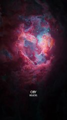 Her yaşama rehberlik eden… Yüksek Çekim Kuvveti”