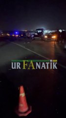 Şanlıurfa’da Feci Trafik Kazası: Baba Yaralı Kurtuldu, Oğlu Hayatını Kaybetti